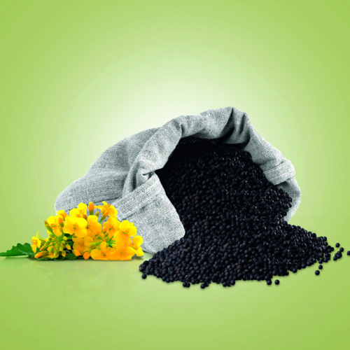 Рокко кесімі